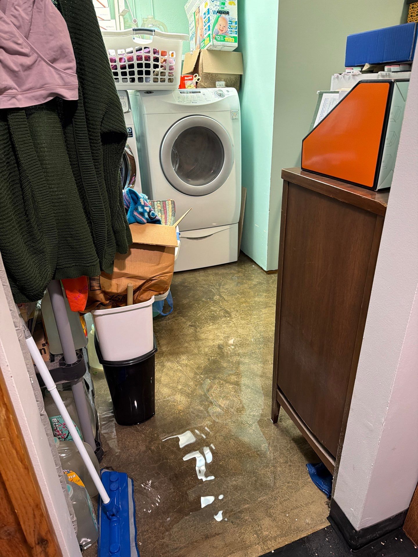 Flooded Basement Cleanup in Westport: Steps and Cost